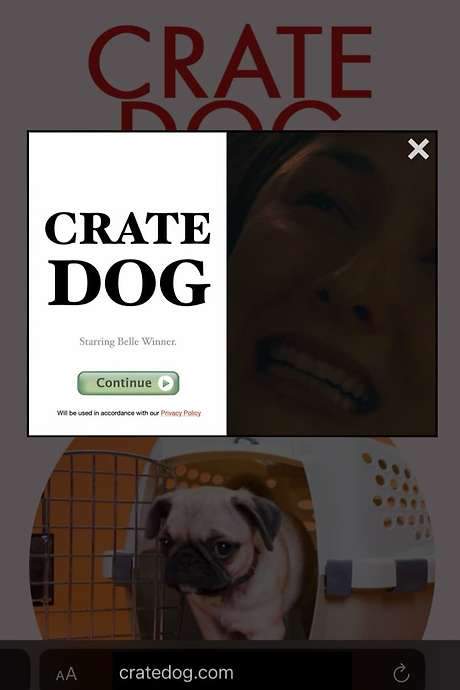    Following the death of her dog, a girl orders a new pet from a mysterious online pop-up ad.  